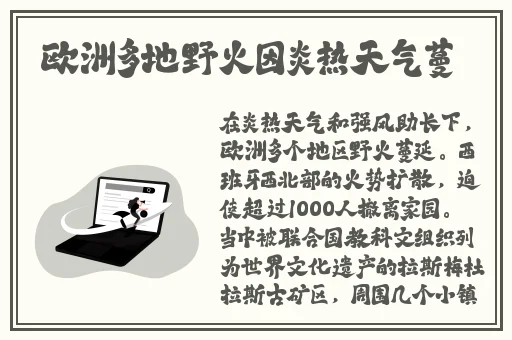 桃子视频在线观看免费观看完整版